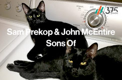 »Sam Prekop & John McEntire: Sons Of« auf CD