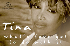»Tina Turner: What’s Love Got To Do With It?« auf Vinyl