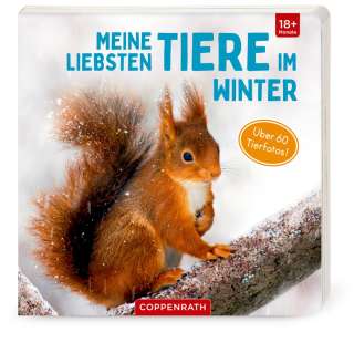 Meine liebsten Tiere im Winter (Bb) Cover