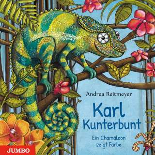 Karl Kunterbunt Cover
