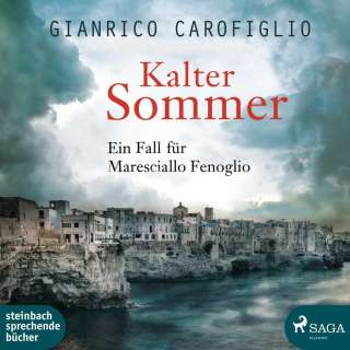 Kalter Sommer Cover