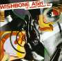 Wishbone Ash: No Smoke Without Fire, CD
