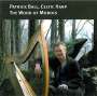 Patrick Ball - The Wood of Morois, CD