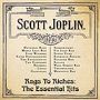 Scott Joplin: Rags To Riches The Essential H, CD