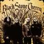 Black Stone Cherry: Black Stone Cherry, CD