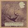 Carrie Newcomer: A Great Wild Mercy, CD