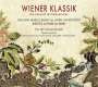 Die Freitagsakademie - Wiener Klassik, CD