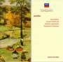 Antonin Dvorak: Symphonische Dichtungen, CD,CD
