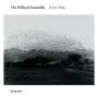 : Hilliard Ensemble - Il Cor Tristo, CD