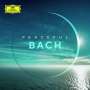 Johann Sebastian Bach: Peaceful Bach, CD,CD