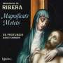 Bernardino de Ribera (1520-1580): Magnificat-Vertonungen & Motetten, CD