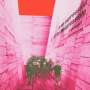 Blonde Redhead: In An Expression Of The  Inexpressible, LP