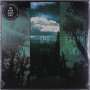 If These Trees Could Talk: Above The Earth, Below The Sky (Reissue) (180g), LP