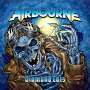 Airbourne: Diamond Cuts (Deluxe-Box-Set), LP,LP,LP,LP,DVD