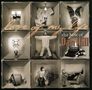 Dan Hill: Love Of My Life - Best Of Dan Hill, CD, CD