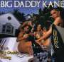 Big Daddy Kane: It's A Big Daddy Thing, CD