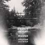 Arnold Dreyblatt: Appalachian Excitation, CD