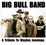 Big Bull Band: A Tribute To Waylon Jennings, CD