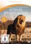 Afrikas wilder Süden (Fernweh Collection), 6 DVDs