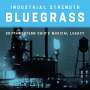 : Industrial Strength Bluegrass: Southwestern Ohio's Musical Legacy, CD