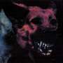 Protomartyr: Under Color Of Official Right, CD