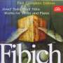 Zdenek Fibich: Werke für Violine & Klavier, CD