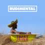 Rudimental: Toast To Our Differences, CD