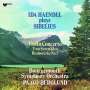 Jean Sibelius (1865-1957): Violinkonzert op.47 (180g), LP
