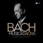 : Nikolaus Harnoncourt - Bach Musica Sacra, CD,CD