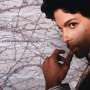 Prince: Musicology, CD