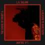 L.A. Salami: Cause Of Doubt & A Reason To Have Faith, LP