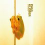 Paul Kleber: Little Home, LP, LP