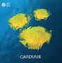 Cardume: Cardume, LP, LP