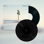 Text: "MAX RICHTER WHILE THE FLOOD RAGES". Eine Schallplatte vor einem surrealen Landschaftsmotiv mit Skulptur., 2 LPs