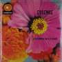 Lucinda Williams: Essence (Translucent Orange Vinyl), 2 LPs
