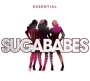 Sugababes: Essential, 3 CDs