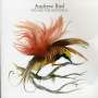 Andrew Bird: Fitz And The Dizzyspells, CD