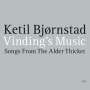 Ketil Bjørnstad (geb. 1952): Vinding's Music - Songs From The Alder Thicket, 2 CDs