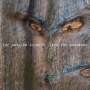 Steve Swallow: Into The Woodwork, CD