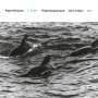 Peter Erskine: Juni (Touchstones), CD