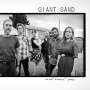 Giant Sand: Heartbreak Pass (180g) (Limited Edition) (Clear Vinyl), LP