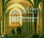 Johann Sebastian Bach: Sämtliche Kantaten Vol.11 (Koopman), CD,CD,CD