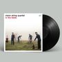 „Vision String Quartet in the fields“. Vier Männer stehen auf einer Wiese mit Instrumenten; ein Vinyl ist sichtbar., LP