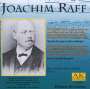 Joachim Raff (1822-1882): Klavierwerke Vol.III, CD