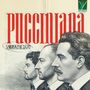 "Pucciniana" in großem roten Text, "Verace Duo" darunter. Drei gezeichnete Männerprofile, elegant gekleidet. Logo oben rechts.