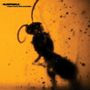 Text oben links: "SLEEPWALK view from the outside". Silhouette einer Ameise, unscharf auf orangefarbenem Hintergrund., LP