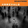 Declan O'Rourke: Arrivals (Deluxe U.S. Edition), LP,LP