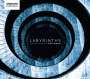 Orchestra of the Swan - Labyrinths, CD