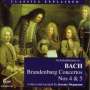 : Classics Explained:Bach,Brandenburgische Konzerte, CD,CD