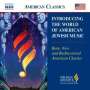 : Introducing The World of American Jewish Music (Naxos), CD